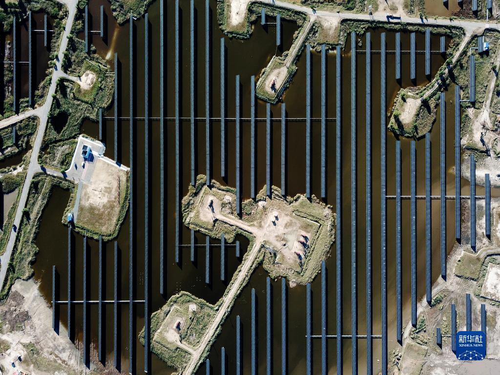 游戏官方下载